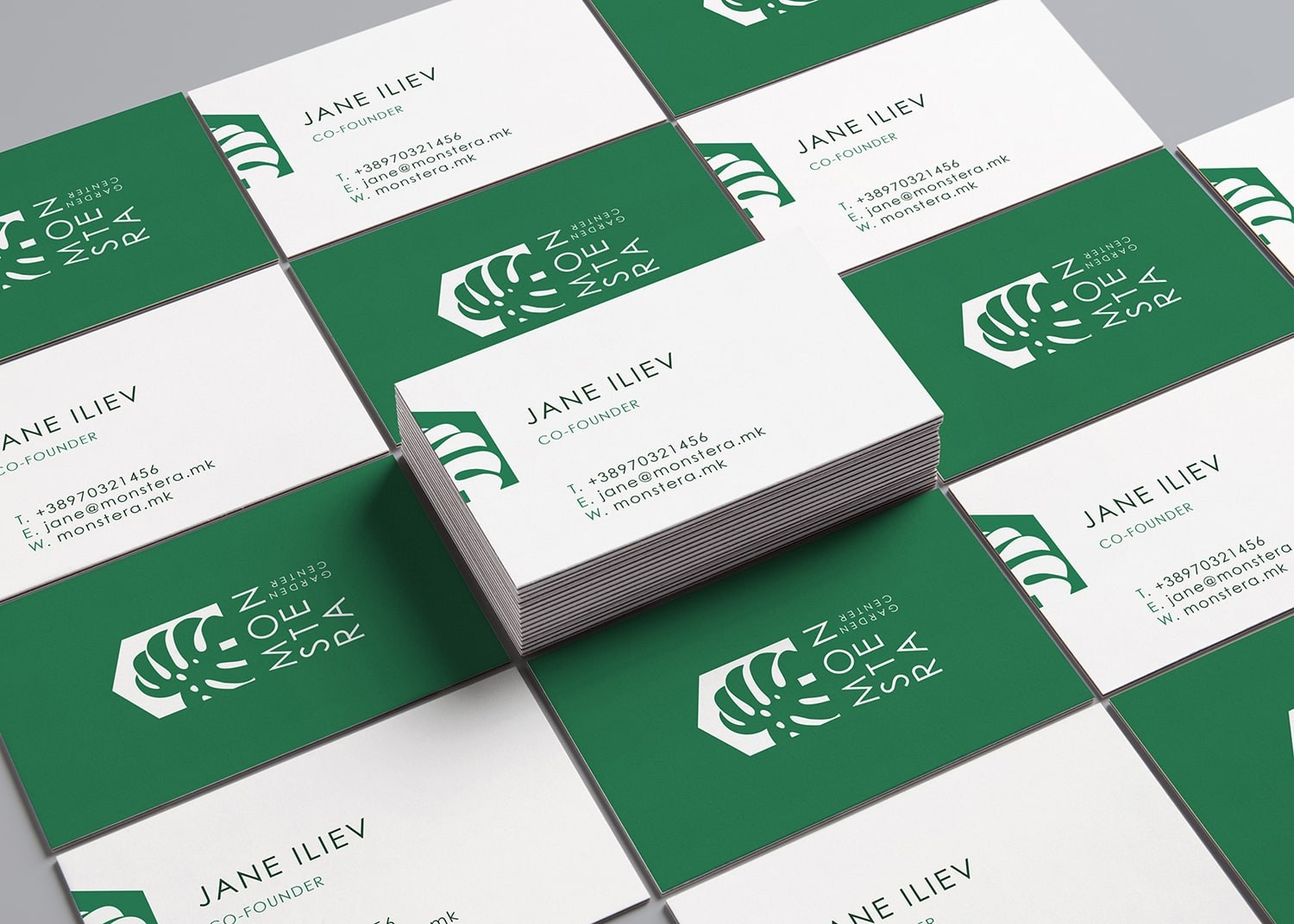 Monstera Logo & Brand Identity, image 10