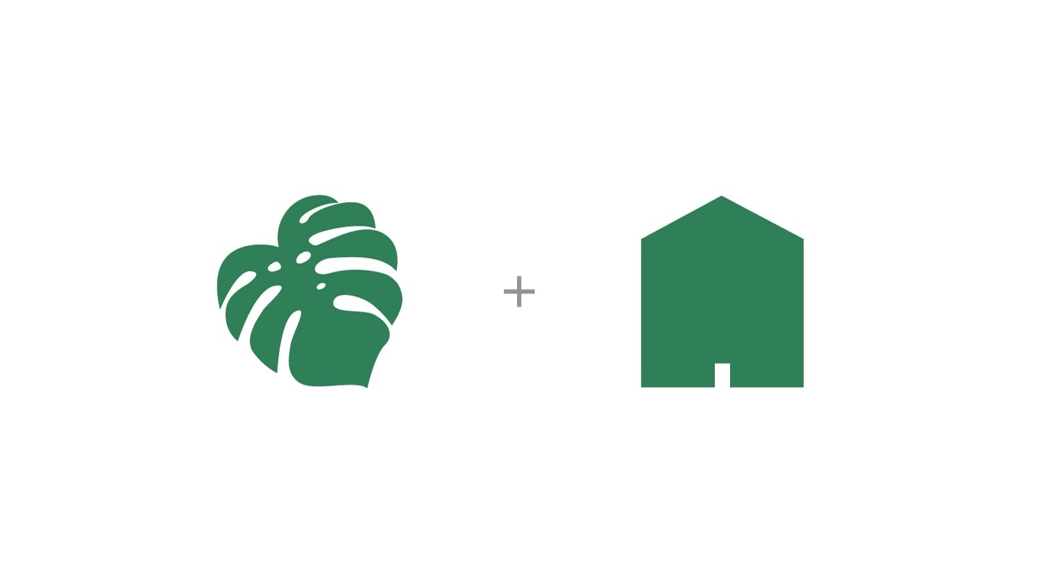 Monstera Logo & Brand Identity, image 4