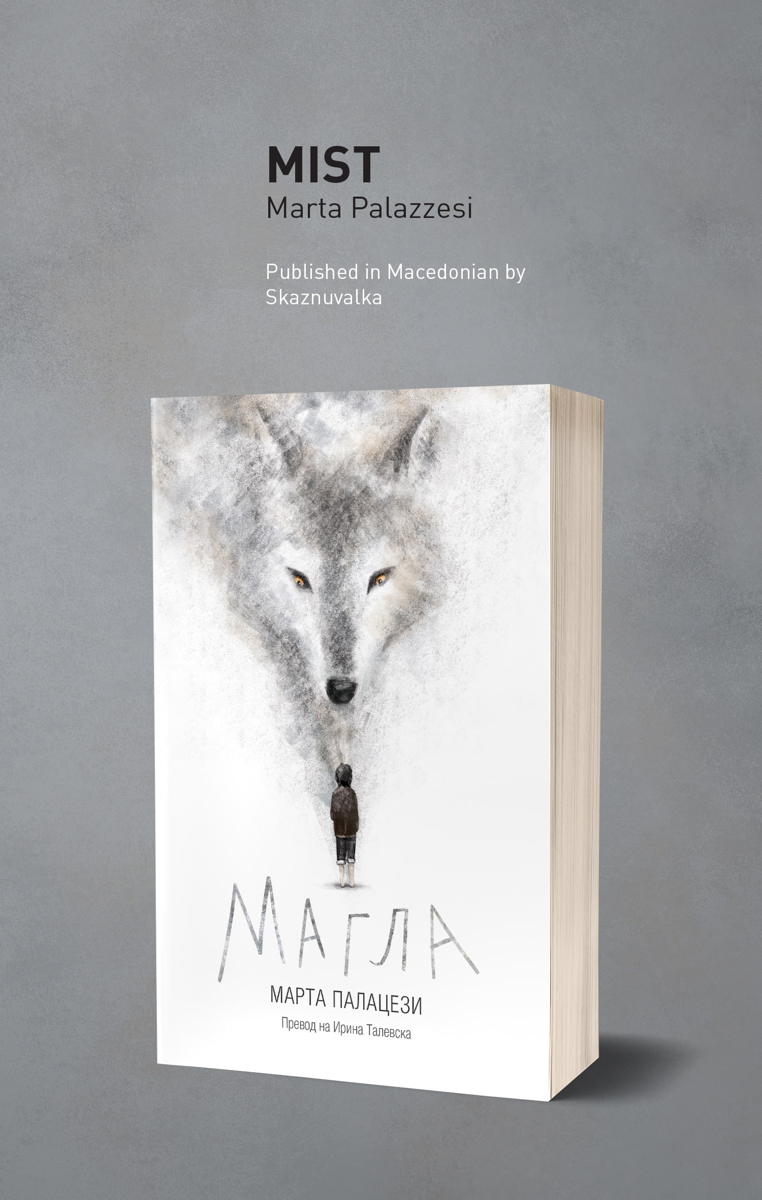 Mist Book Cover, image 1