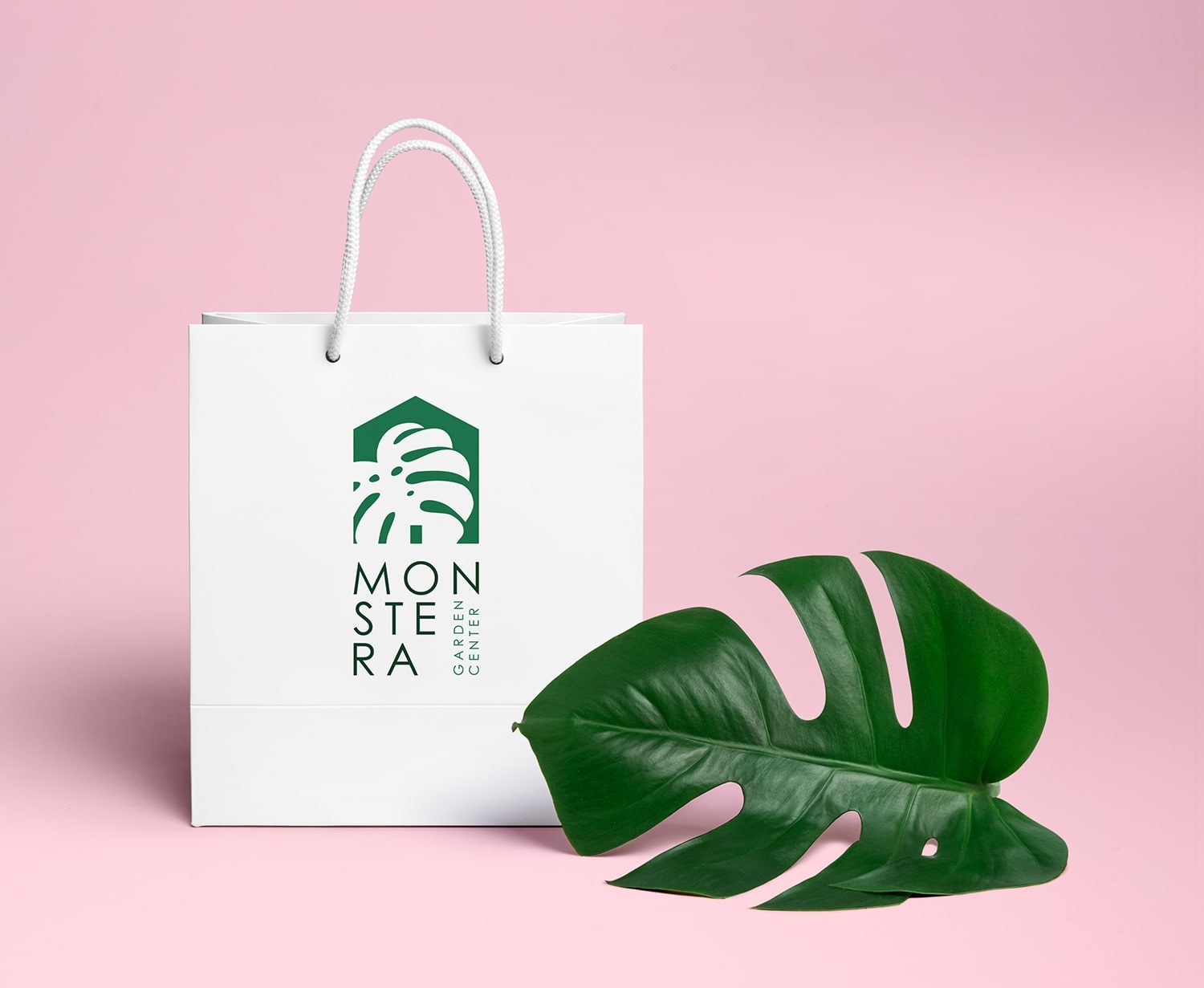 Monstera Logo & Brand Identity, image 13