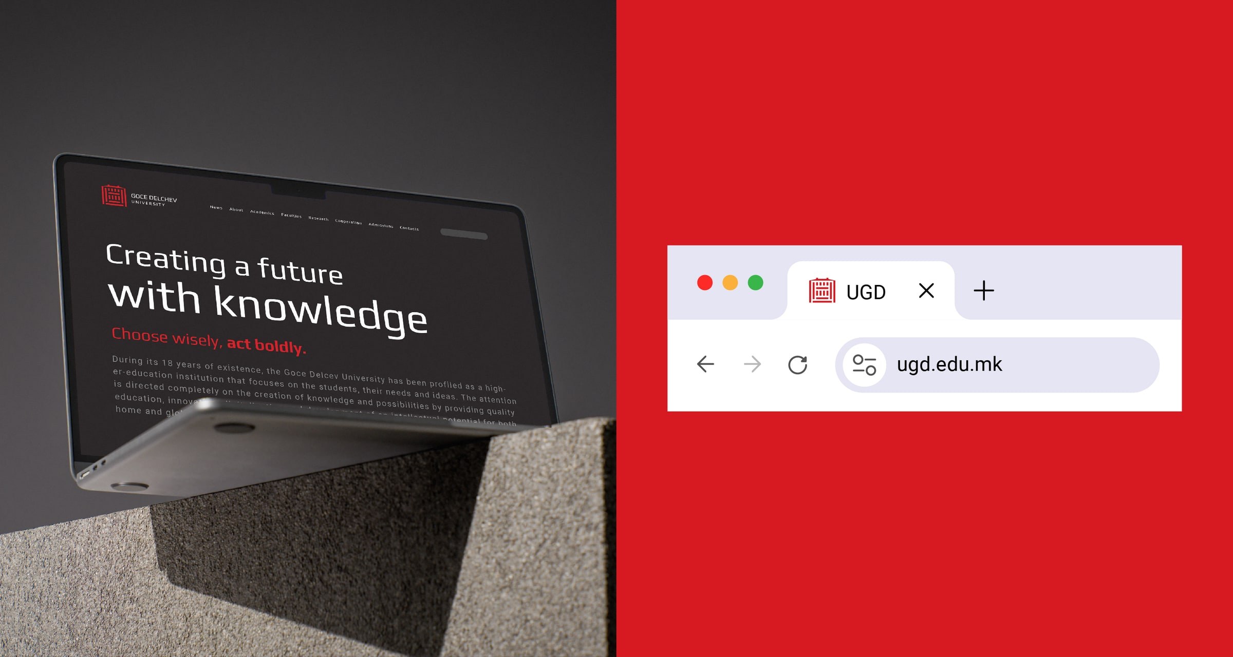 Goce Delchev University Logo & Brand Guidelines, image 16