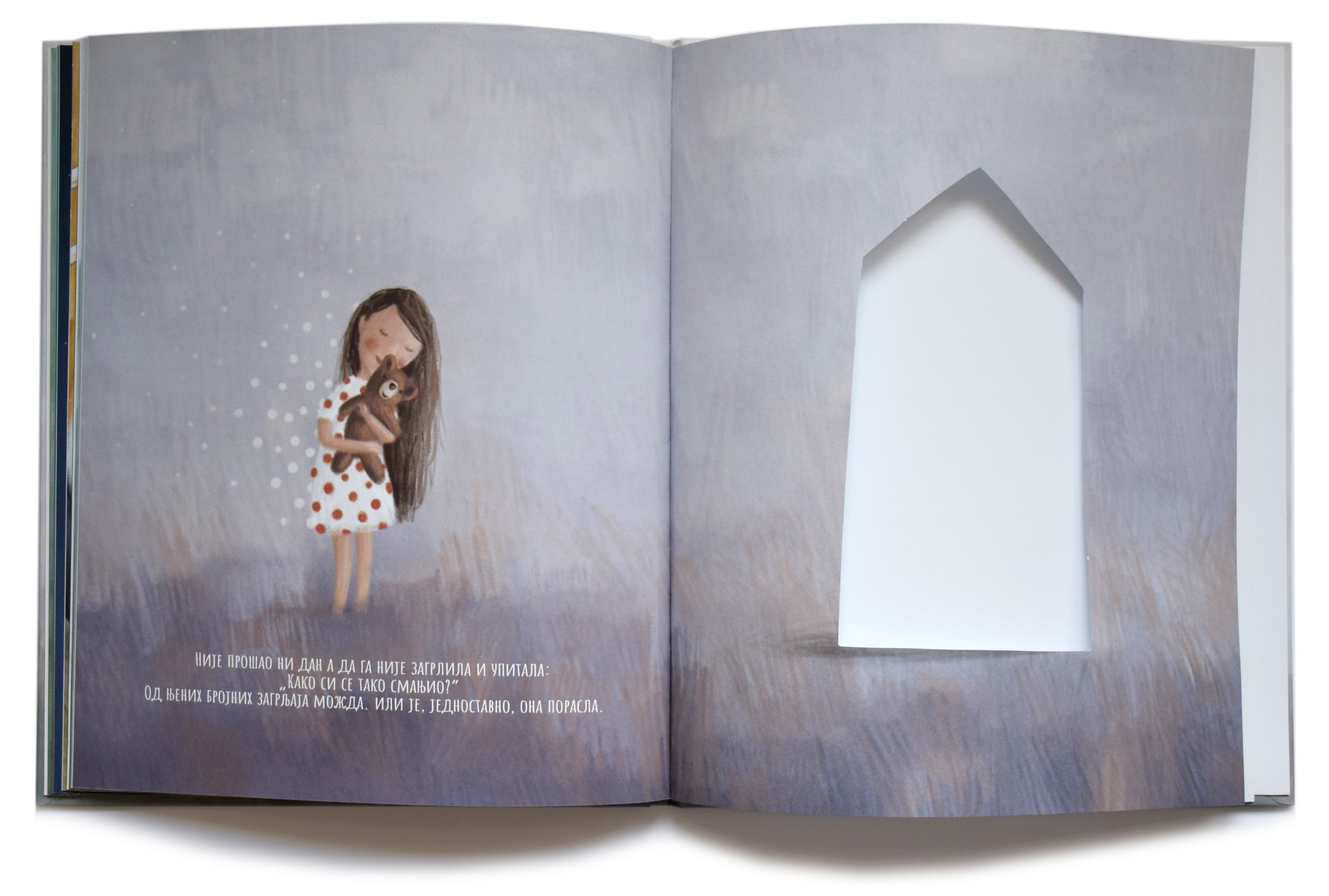 the girl and the bear, illustration 3