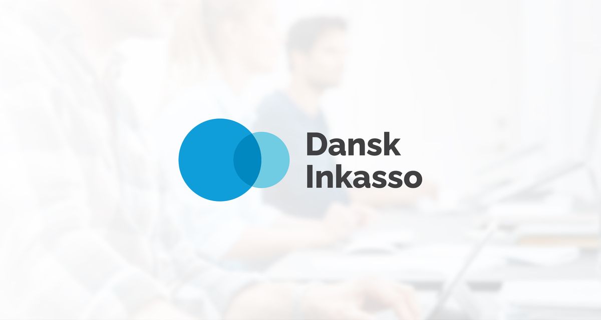 Dansk Inkasso Logo & Style Guide Book Illustration 1