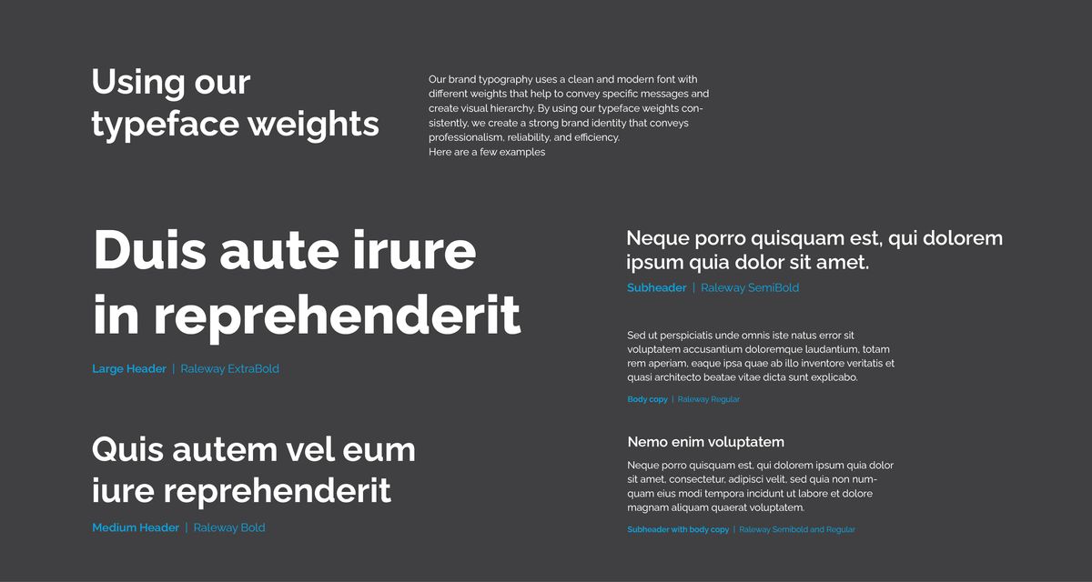 Dansk Inkasso Logo & Style Guide Book Illustration 9