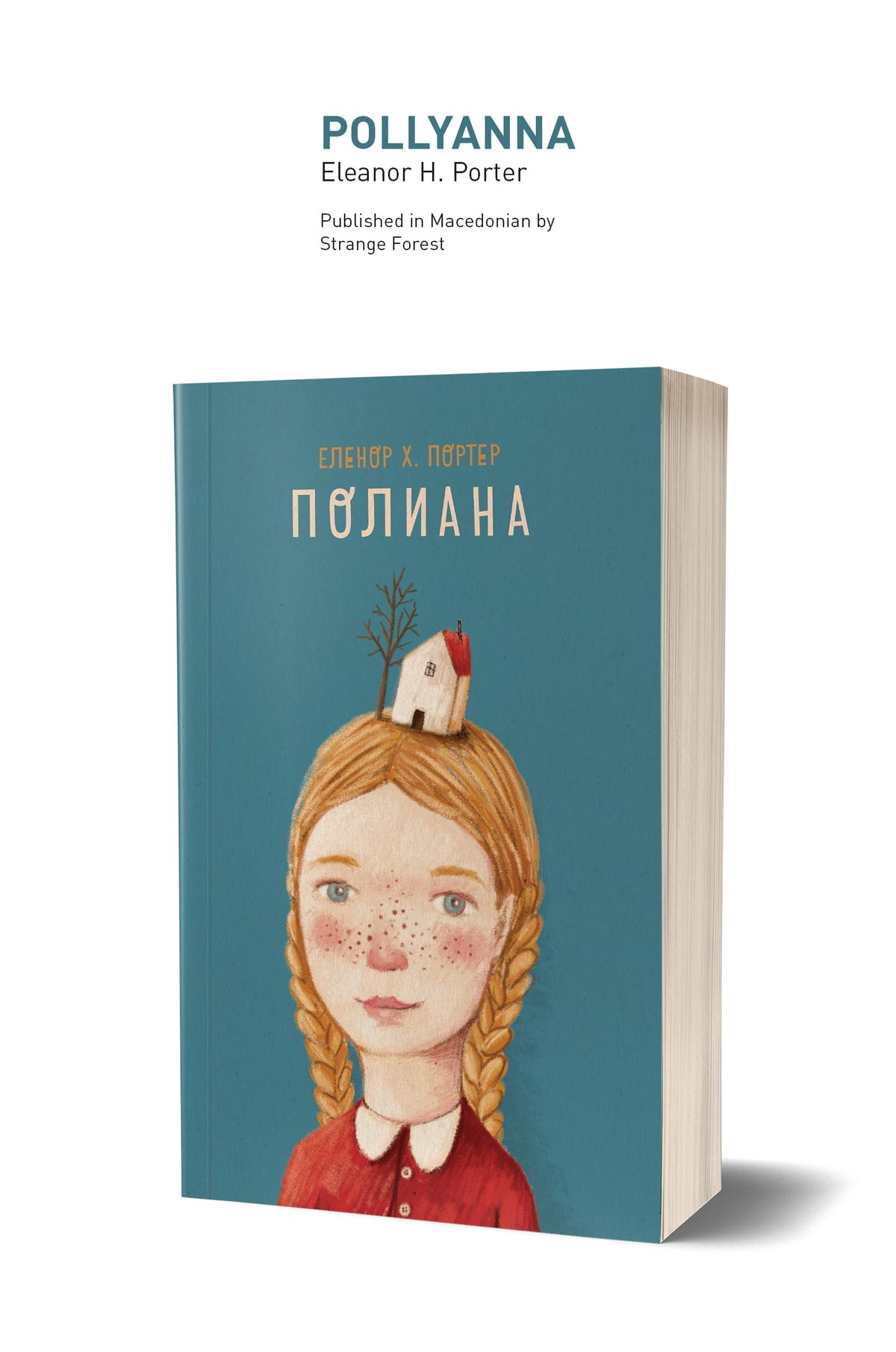 Pollyanna Book Cover Book Illustration 1