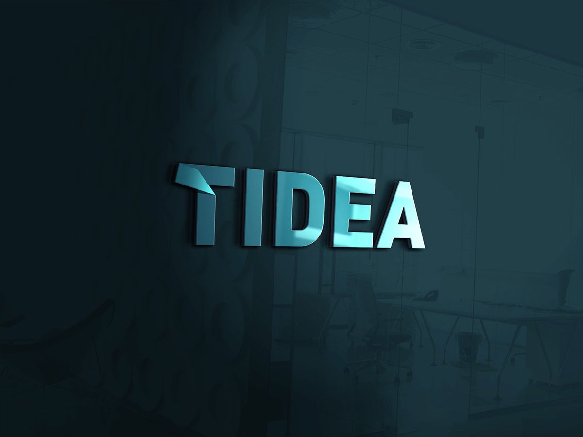 Tidea Logo & Branding Book Illustration 7