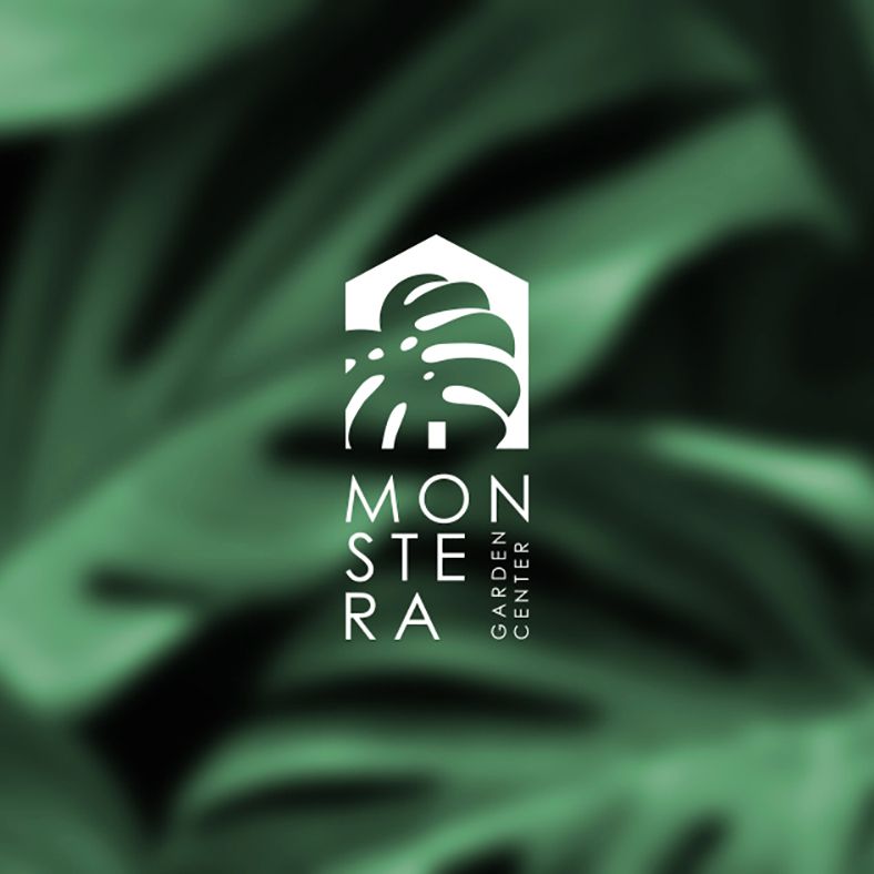 Monstera Logo & Brand Identity